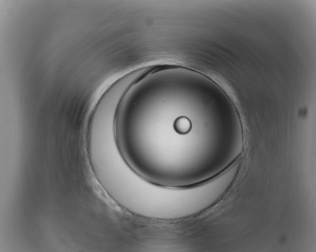 X0000112901104200908281719