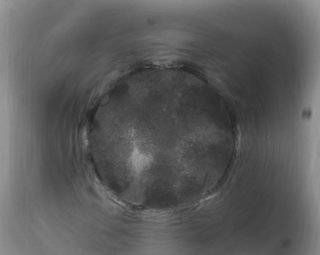 X0000112901106200908281718