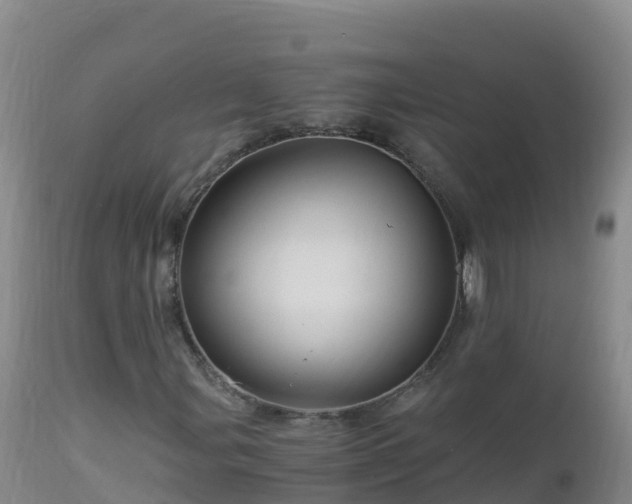 X0000112901107200908281718