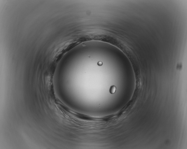 X0000112901108200908281718