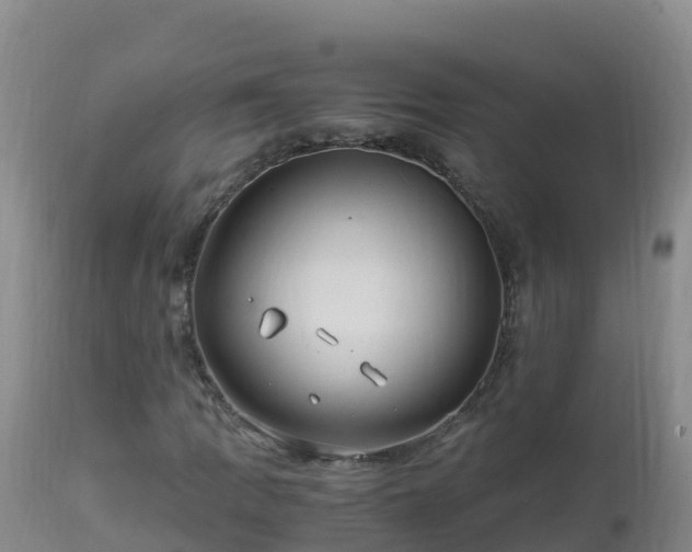 X0000112901109200908281718