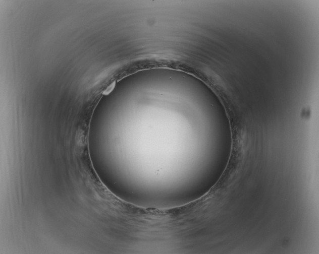 X0000112901110200908281718