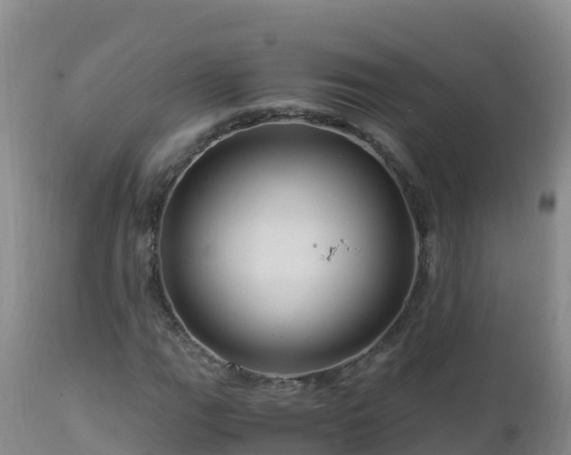 X0000112901111200908281718