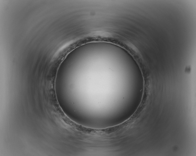 X0000112901112200908281718