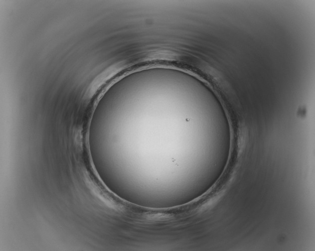 X0000112901113200908281718