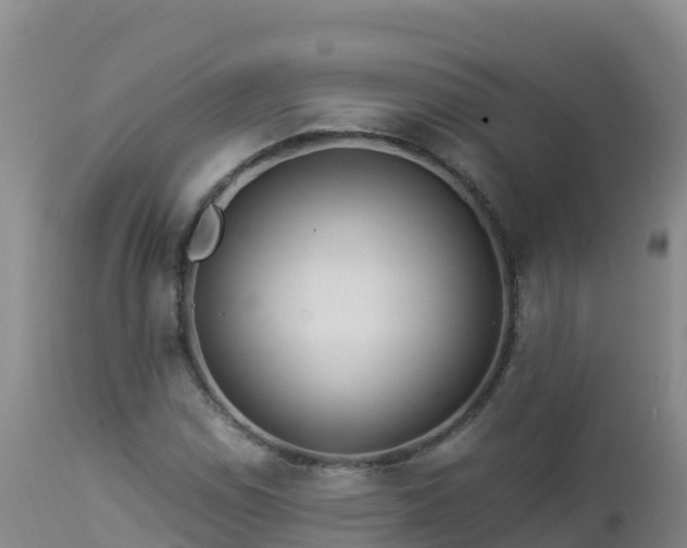 X0000112901114200908281718