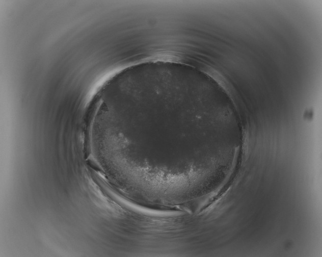 X0000112901115200908281718