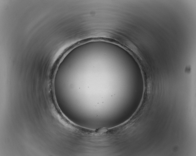 X0000112901116200908281718