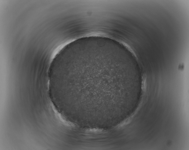 X0000112901117200908281718