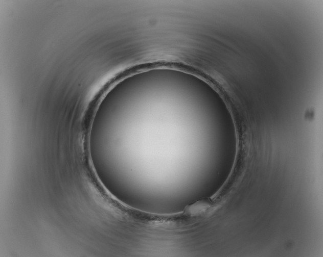 X0000112901118200908281718