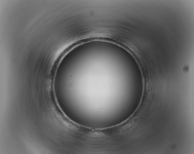 X0000112901119200908281718