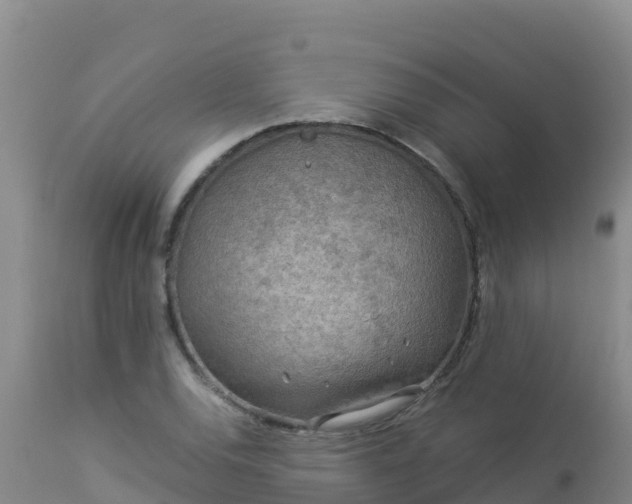 X0000112901120200908281718