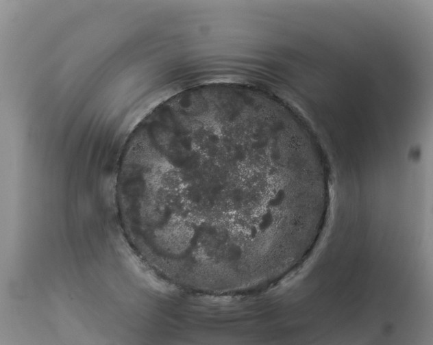 X0000112901121200908281718