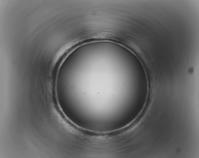 X0000112901122200908281718