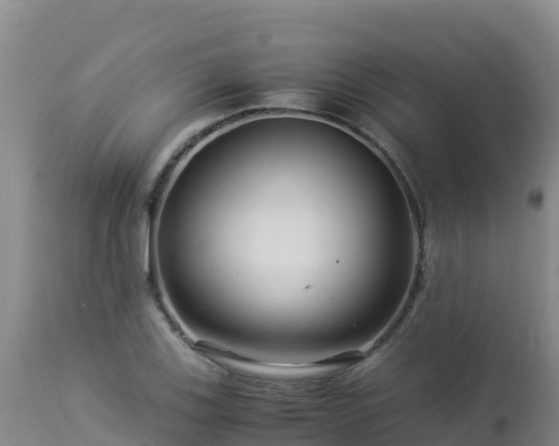 X0000112901123200908281718