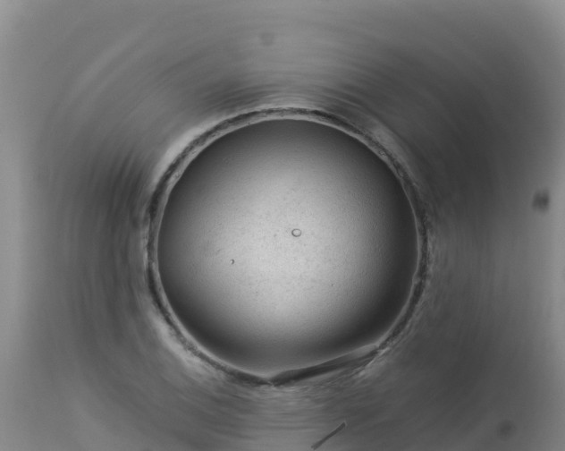 X0000112901124200908281718