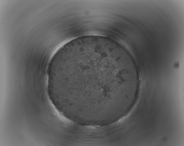 X0000112901125200908281718