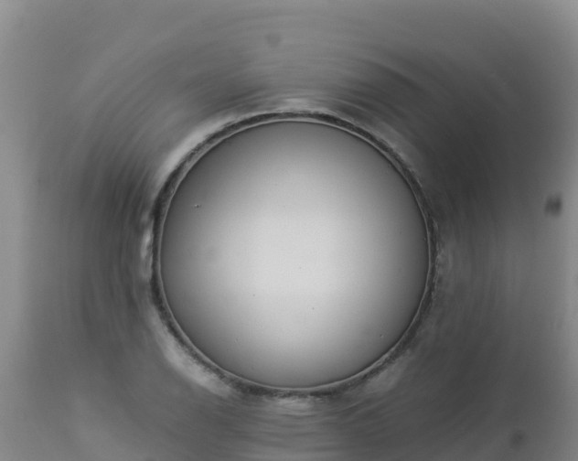 X0000112901126200908281718