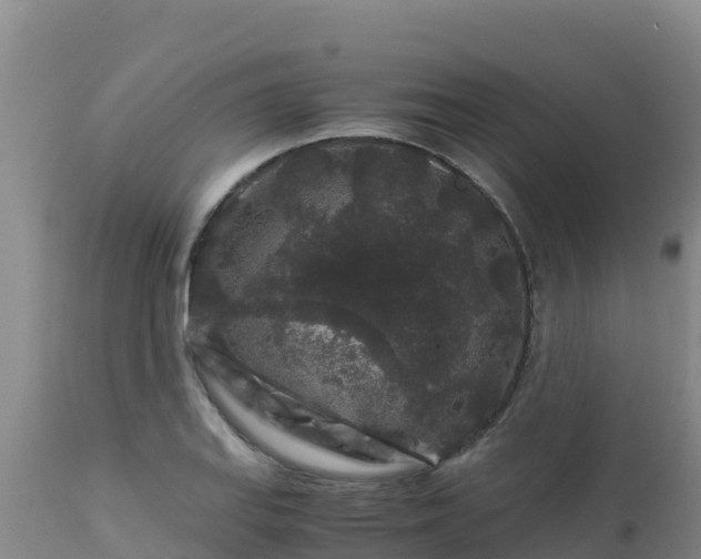 X0000112901127200908281718