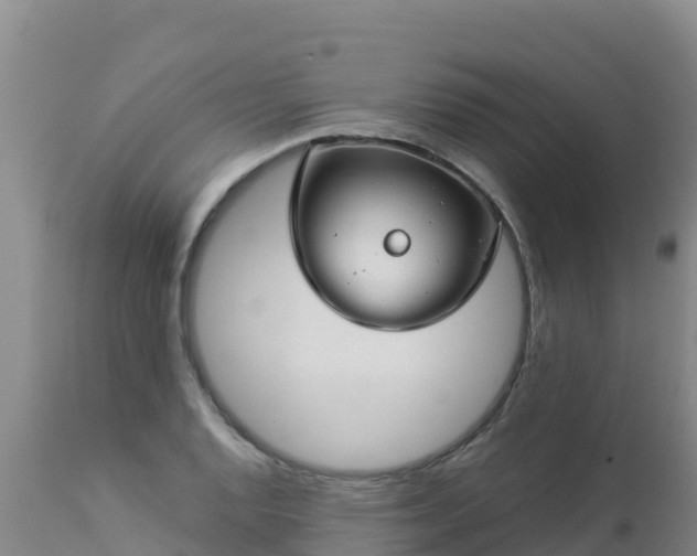 X0000112901128200908281718