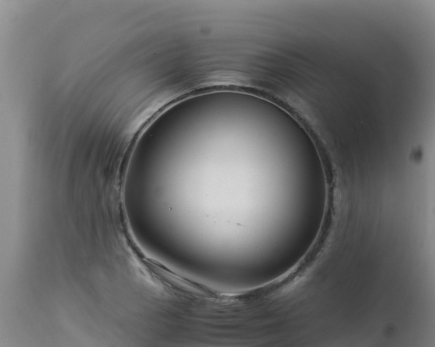 X0000112901129200908281718