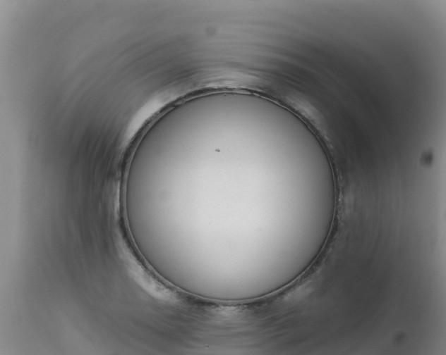 X0000112901130200908281718