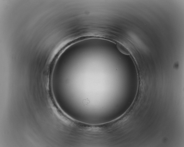 X0000112901131200908281718