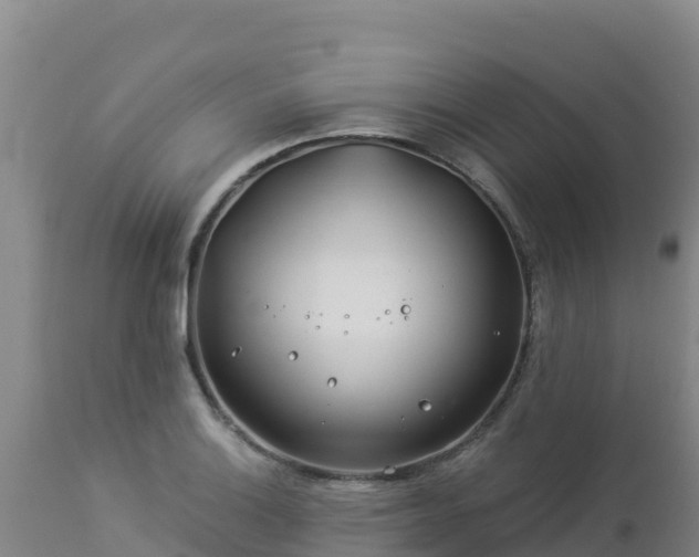 X0000112901132200908281718