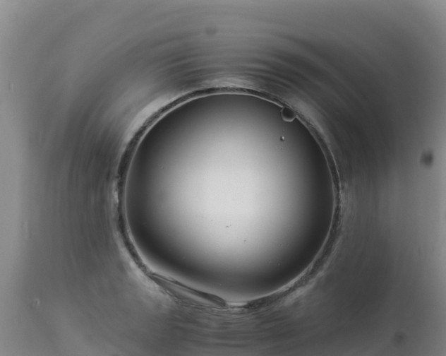 X0000112901133200908281718