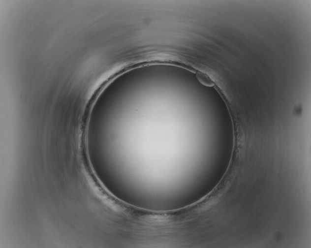 X0000112901134200908281718