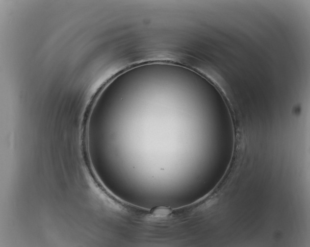 X0000112901135200908281718