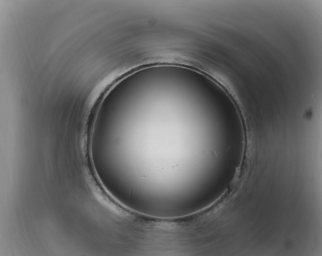 X0000112901136200908281718