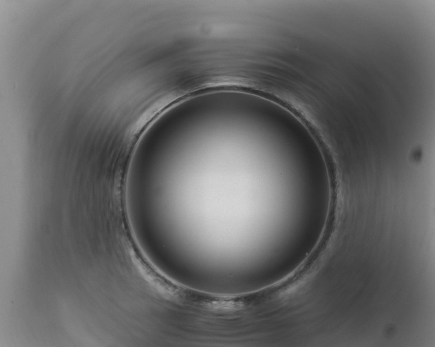 X0000112901137200908281718