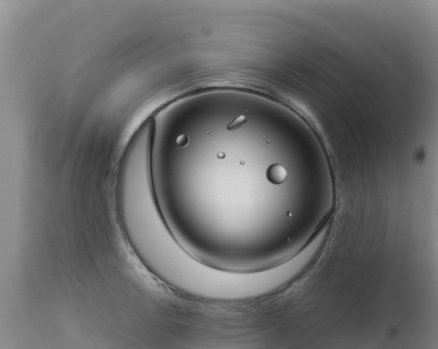 X0000112901138200908281718