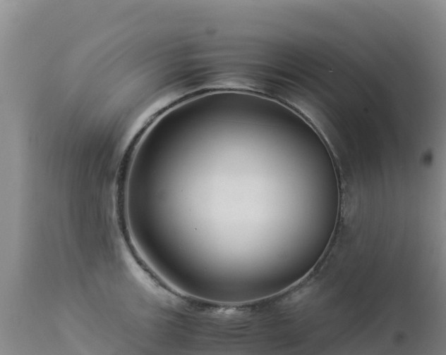 X0000112901139200908281718