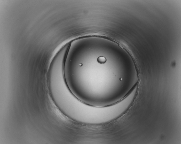 X0000112901140200908281718