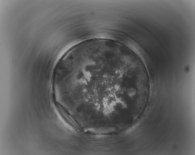 X0000112901141200908281718