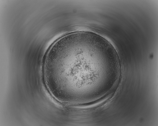 X0000112901142200908281718