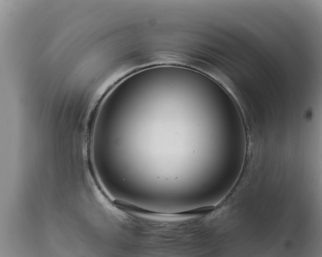 X0000112901143200908281718