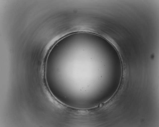 X0000112901144200908281719