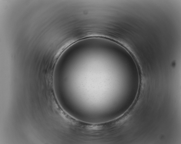 X0000112901145200908281719