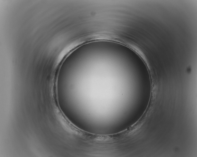 X0000112901146200908281719