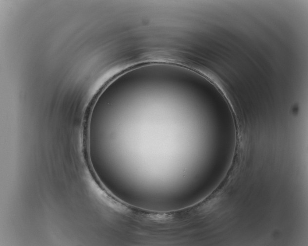 X0000112901147200908281719