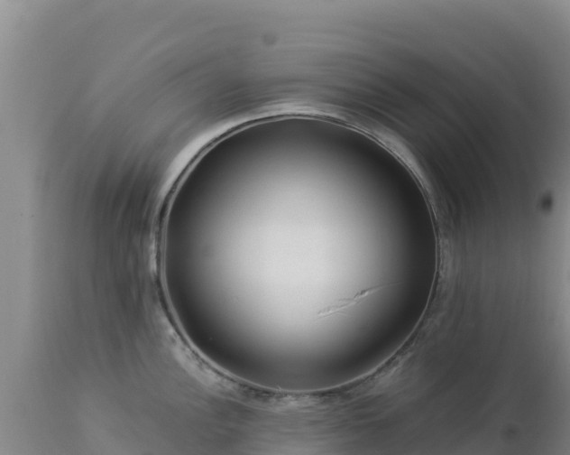 X0000112901148200908281719