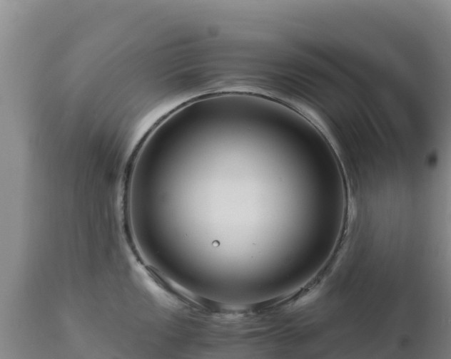 X0000112901149200908281719