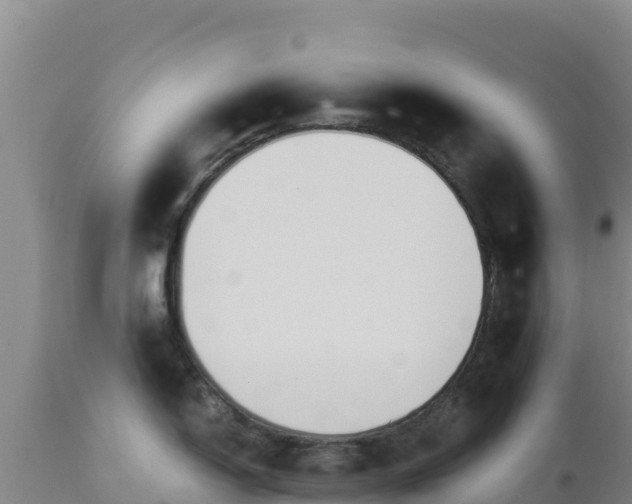 X0000112901150200908281719