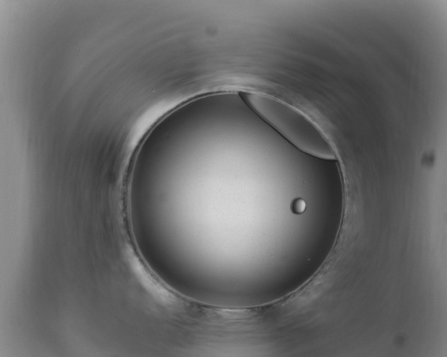 X0000112901152200908281719