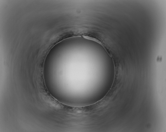 X0000112901153200908281718