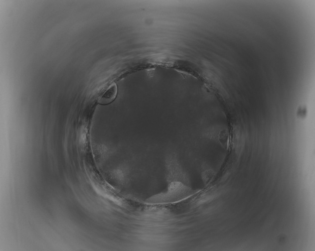 X0000112901154200908281718