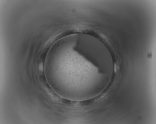 X0000112901155200908281718